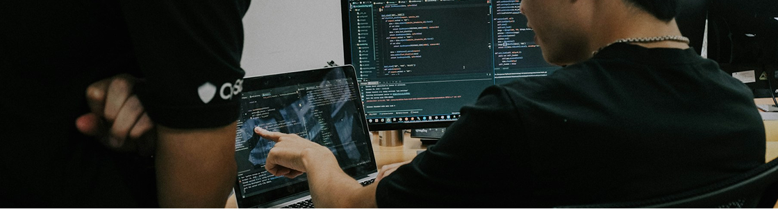 コンサルティング & SI